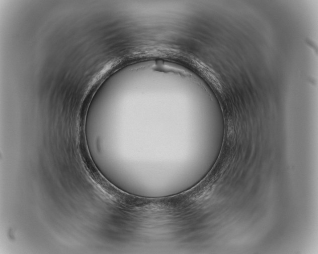 X0000096470578200802141700