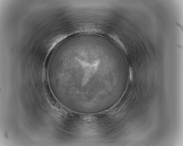 X0000096470579200802141700