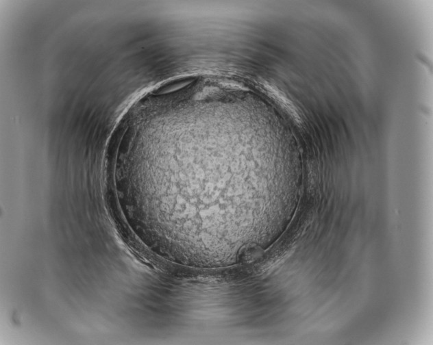 X0000096470580200802141700