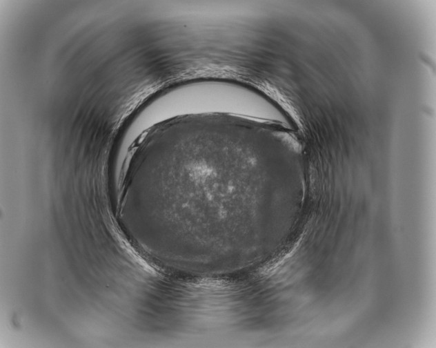 X0000096470581200802141700