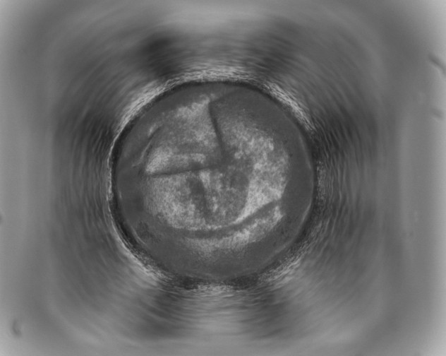 X0000096470582200802141700