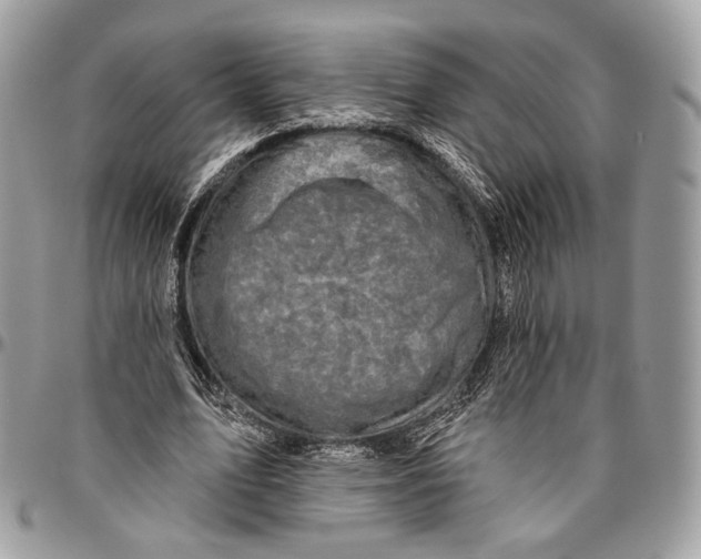 X0000096470583200802141700