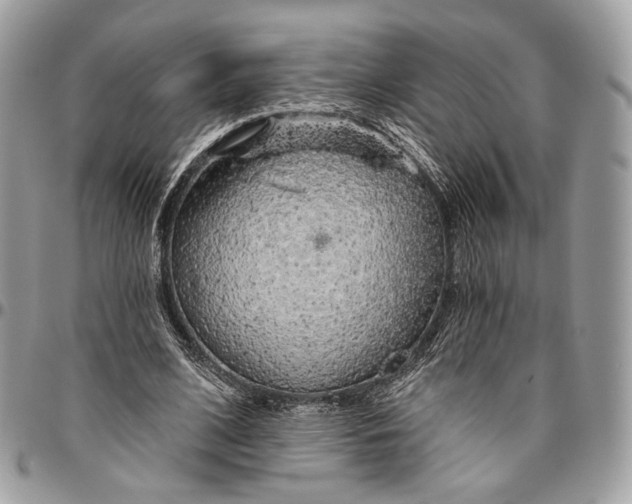 X0000096470584200802141700