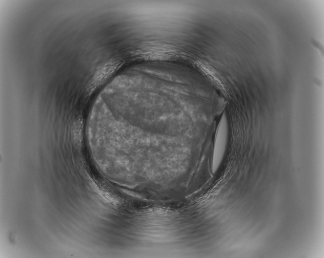 X0000096470586200802141700