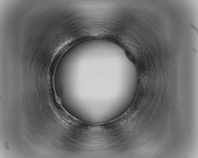 X0000096470587200802141700