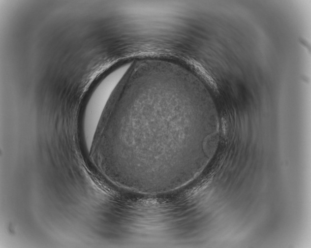 X0000096470588200802141700