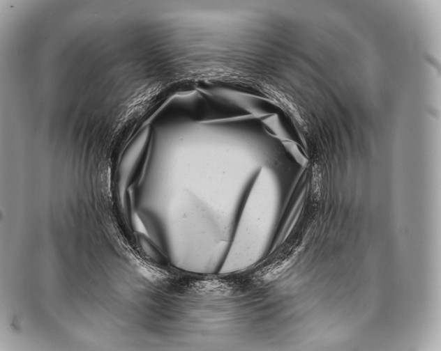 X0000096470589200802141700