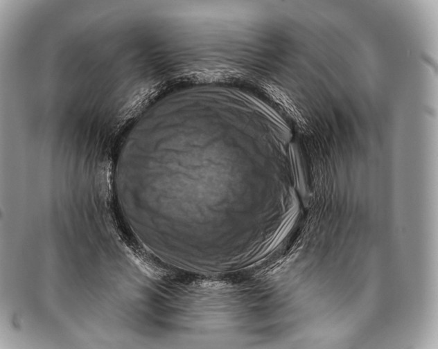 X0000096470590200802141700