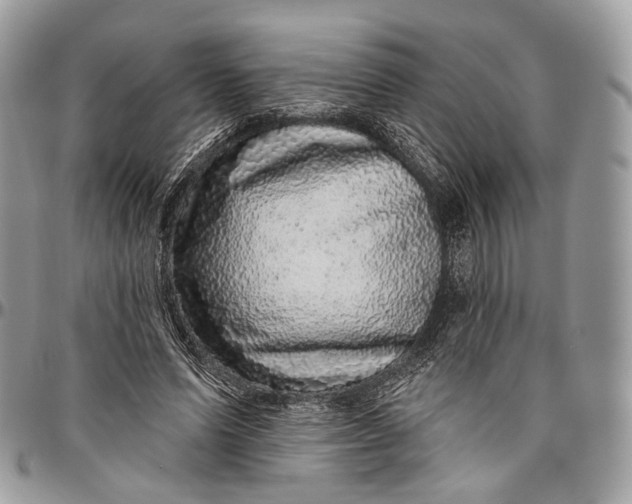 X0000096470591200802141700