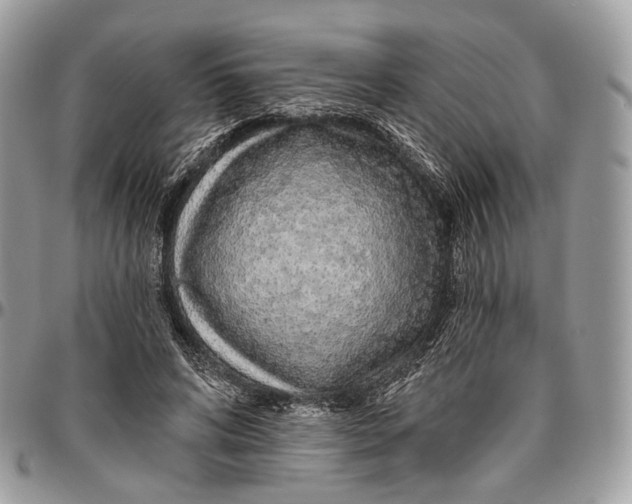 X0000096470592200802141700