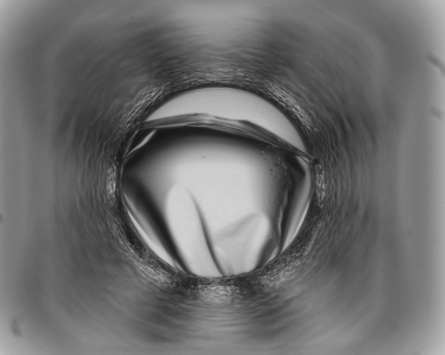 X0000096470593200802141700