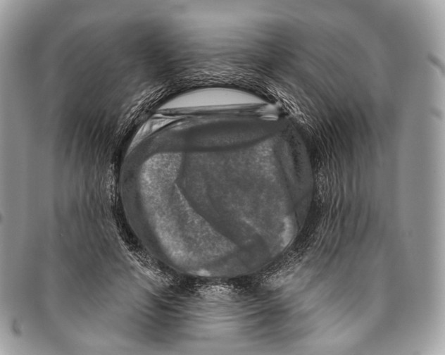 X0000096470594200802141700