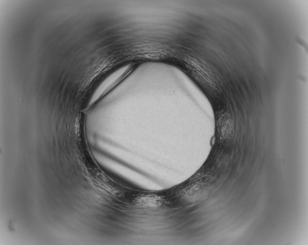 X0000096470595200802141700