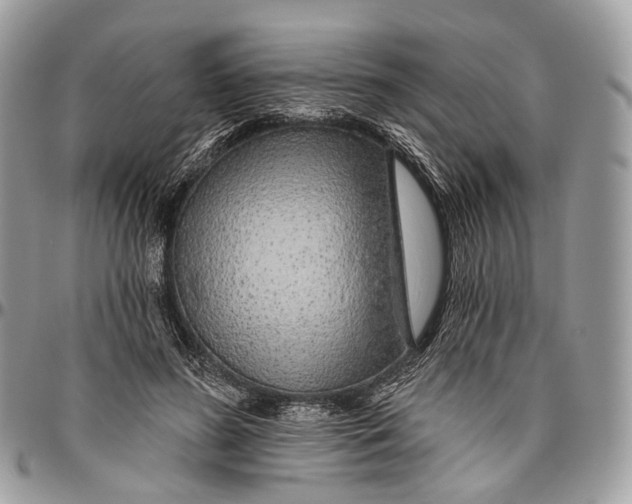 X0000096470596200802141700