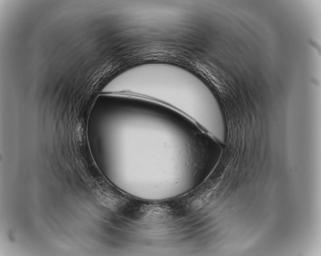 X0000096470597200802141700