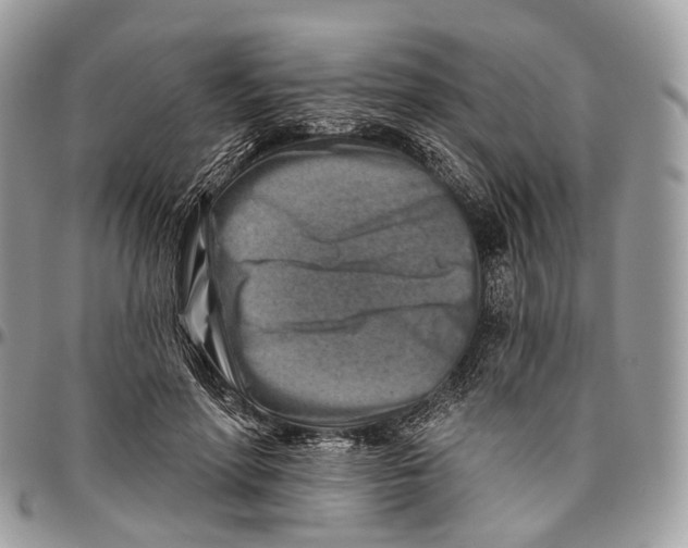 X0000096470598200802141700