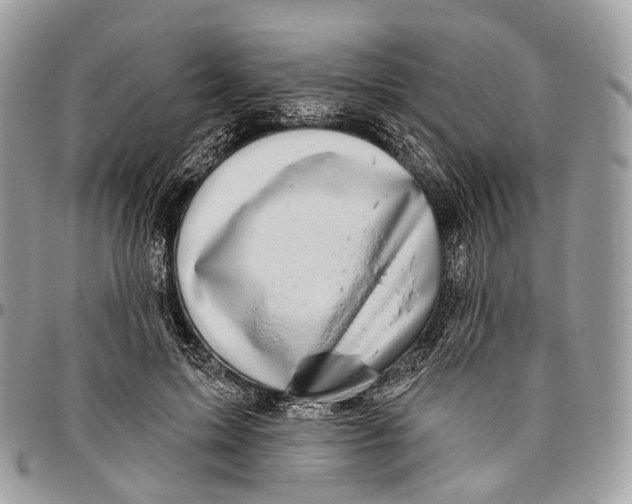 X0000096470599200802141700