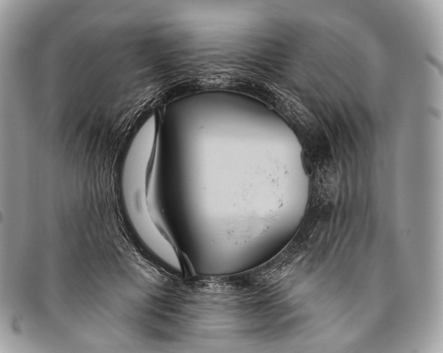 X0000096470601200802141700