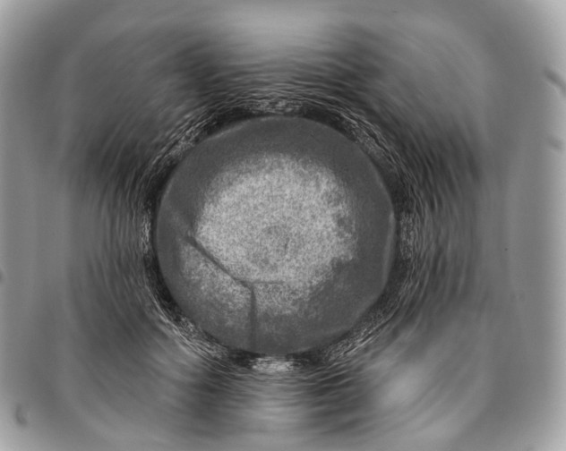 X0000096470602200802141700