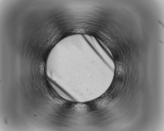 X0000096470603200802141700