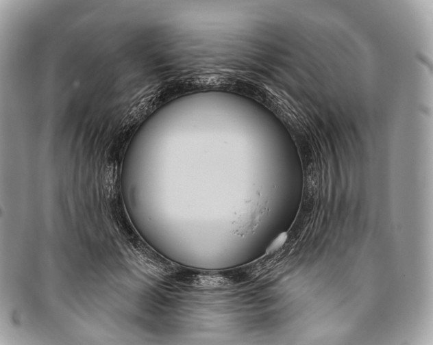 X0000096470605200802141700