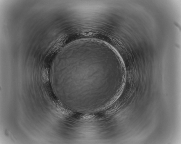 X0000096470606200802141700