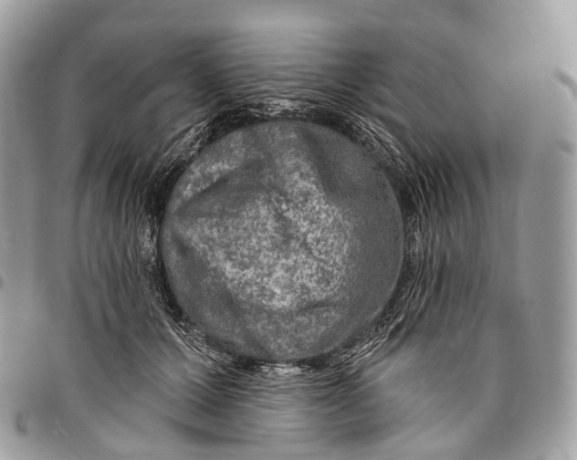 X0000096470607200802141700