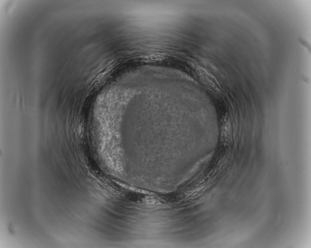 X0000096470608200802141700