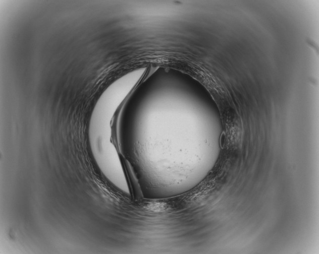 X0000096470609200802141700