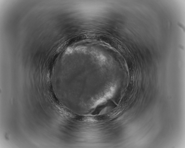 X0000096470610200802141700