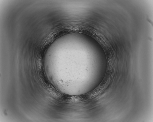 X0000096470612200802141700