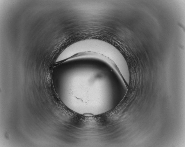 X0000096470613200802141700