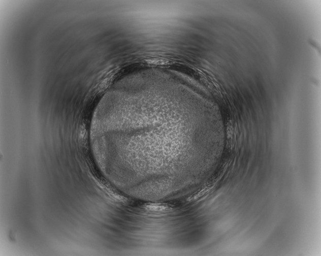 X0000096470614200802141700