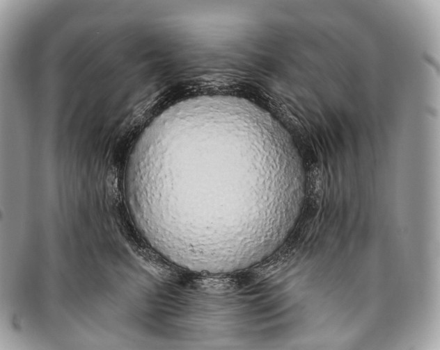 X0000096470615200802141700