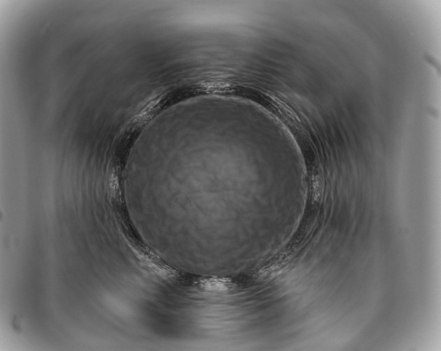 X0000096470618200802141659