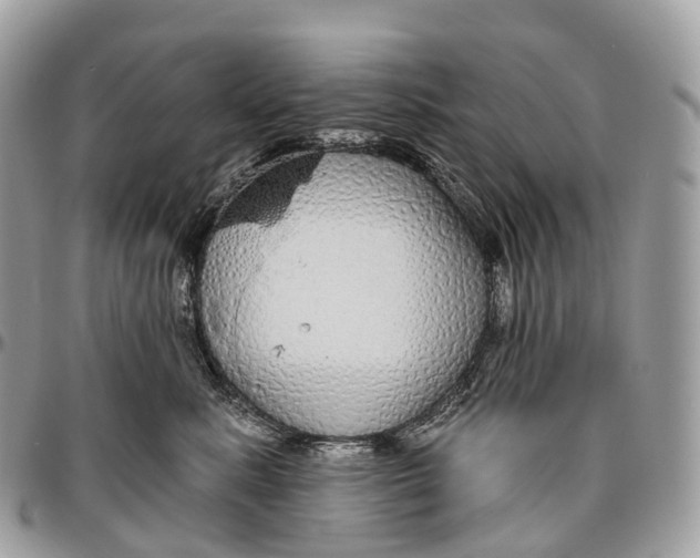 X0000096470619200802141659