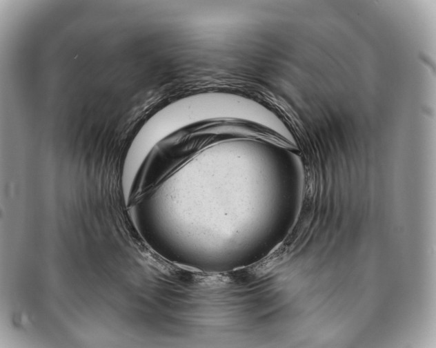 X0000096470621200802141659