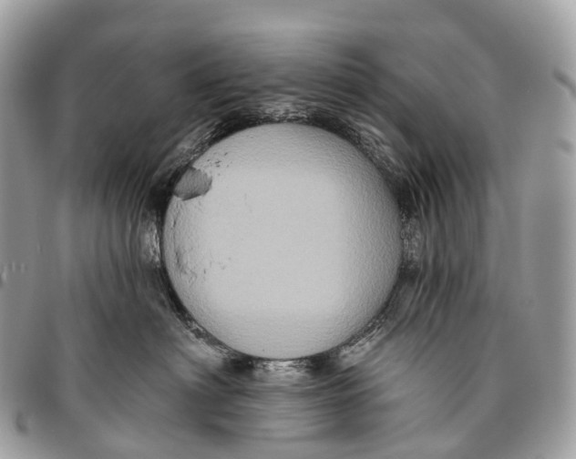 X0000096470622200802141659