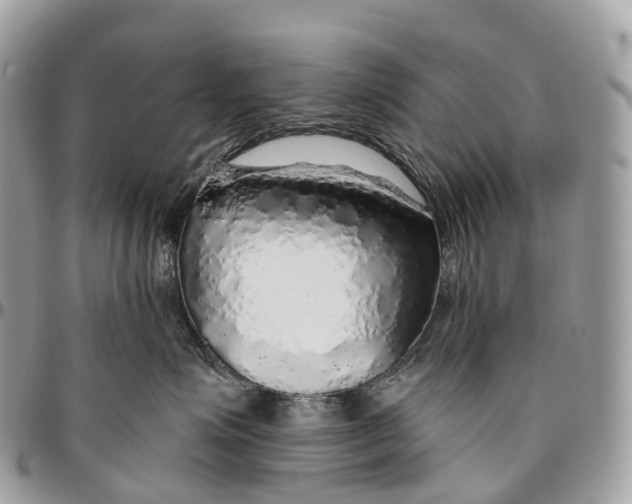 X0000096470623200802141659