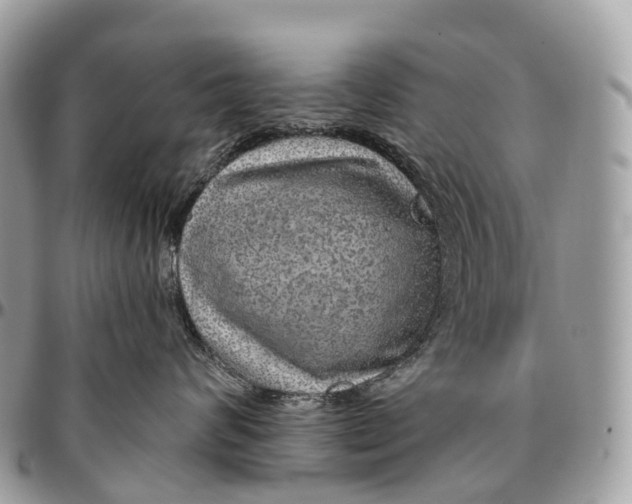 X0000096470624200802141659