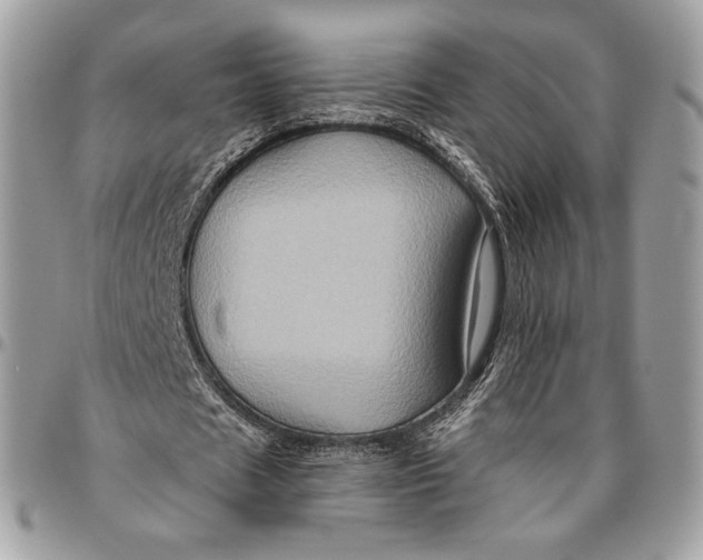 X0000096470625200802141659