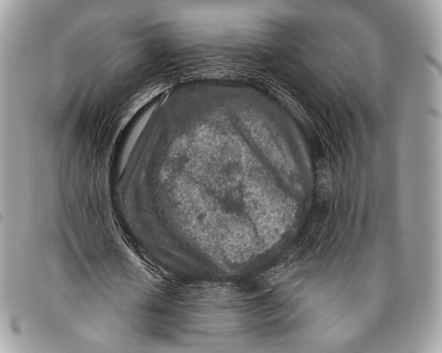 X0000096470626200802141659