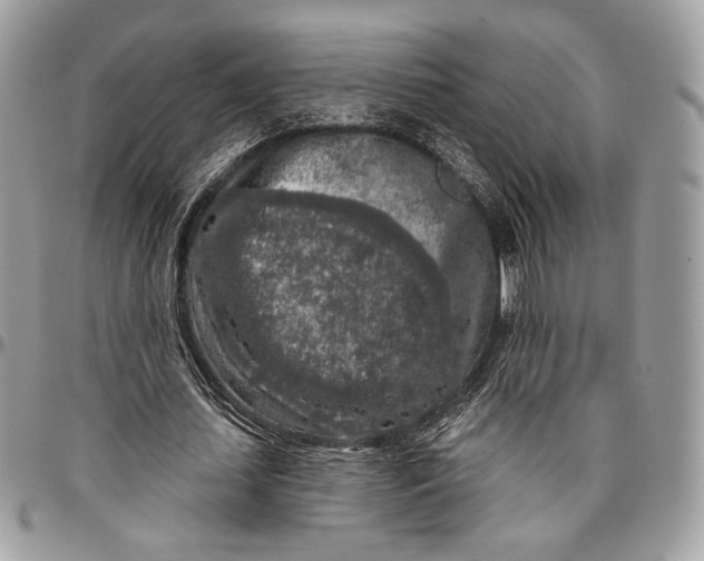 X0000096470627200802141659