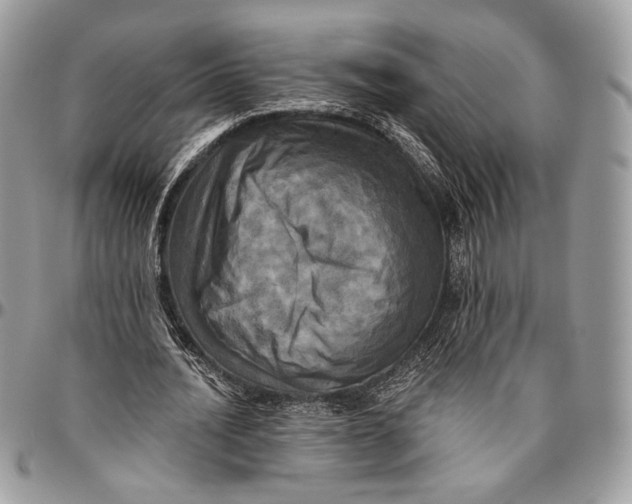 X0000096470628200802141659