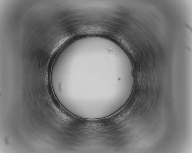 X0000096470629200802141659