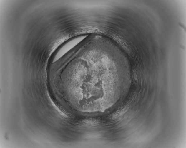 X0000096470630200802141659