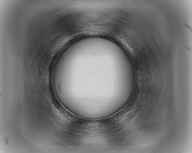 X0000096470631200802141659