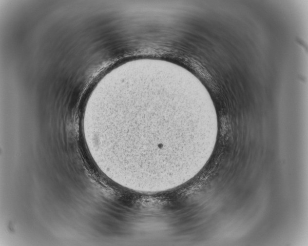 X0000096470632200802141659