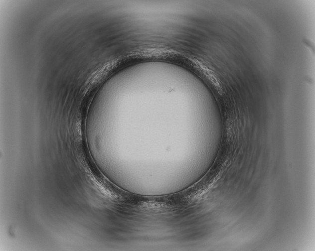 X0000096470633200802141659