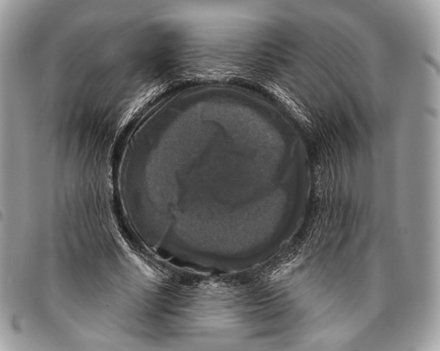 X0000096470634200802141659